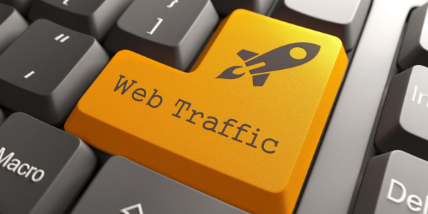 2DaMax Web Traffic1 Why Small Businesses Do Not Succeed