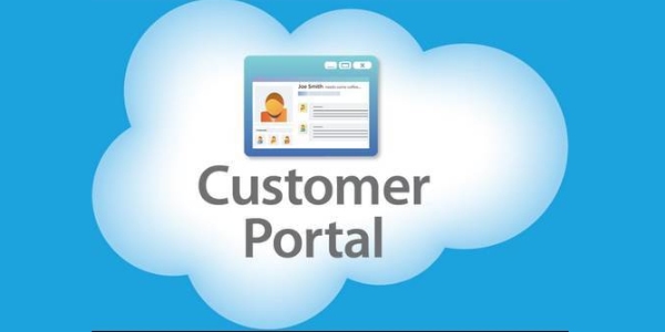 Website Client Portal Installation