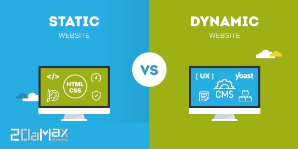 Dynamic Website Design 