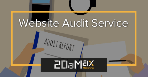 Website Audit Service