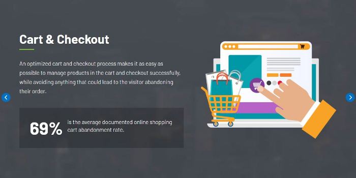 eCommerce Cart and Checkout Audit