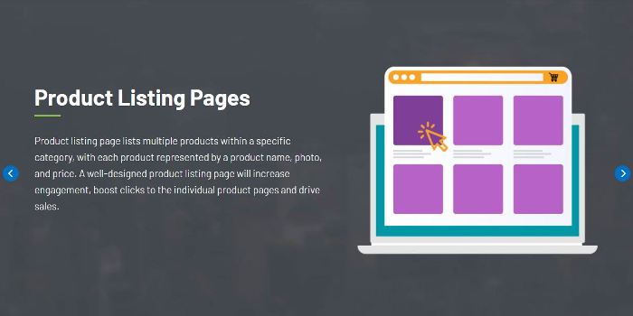 eCommerce Product Listing Page Audit